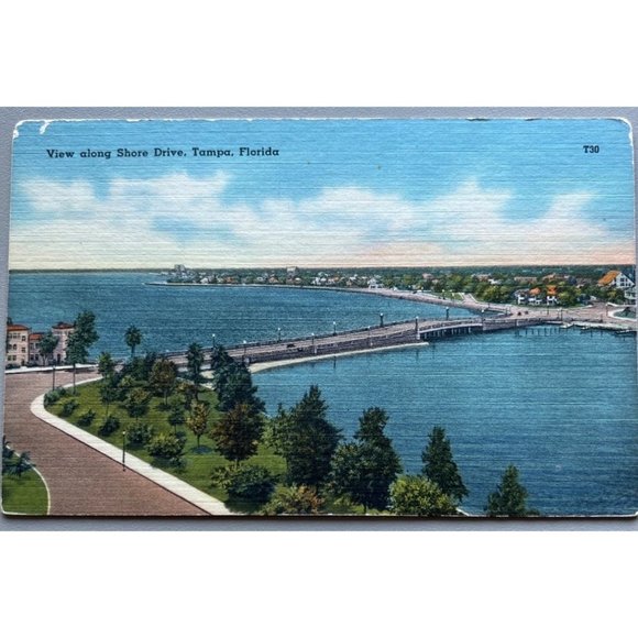 Shore Drive Tampa Florida Postcard Souvenir Unpostmarked Bridge Vintage - Picture 1 of 2